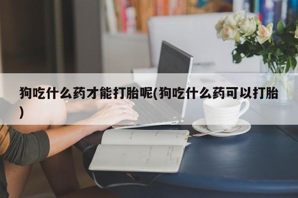 在哪里买流产药包邮狗吃什么药才能打胎呢(狗吃什么药可以打胎)
