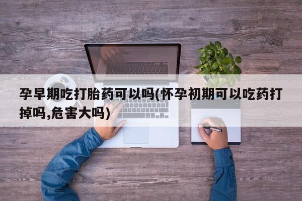 在哪里买流产药包邮孕早期吃打胎药可以吗(怀孕初期可以吃药打掉吗,危害大吗)