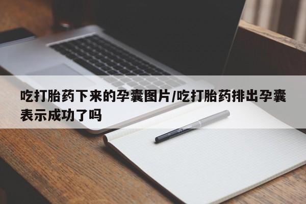 在哪里买流产药包邮吃打胎药下来的孕囊图片/吃打胎药排出孕囊表示成功了吗